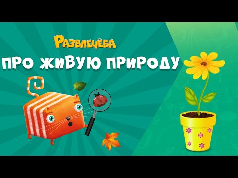 Видео: Развлечёба. Окружающий мир. Про живую и неживую природу