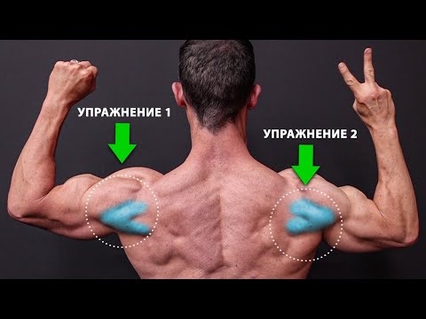 Видео: Только Эти 2 Упражнения на Заднюю дельту Тебе Нужны