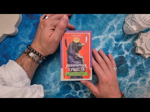 Видео: Я БЫЛ ОЧЕНЬ УДИВЛЕН! ТАРО ЛЮБОПЫТНЫХ СУЩЕСТВ от КРИС-ЭНН