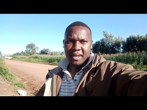 Видео: В ПОЛИЦЕЙСКИЙ УЧАСТОК НЕМЕДЛЕННО! @davyjnr3009 В ХОТСУПЕ ОТЕЦ МУРИМИС ТРЕБУЕТ ПРИДАНОЕ И ДЕДУШКУ ...