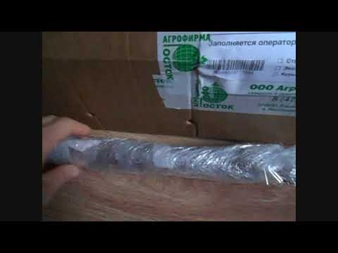 Видео: черенки почтой