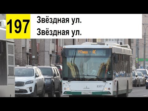Видео: Автобус 197 "Звёздная ул. - Звёздная ул." (кольцевой) (старая трасса) (смена перевозчика)