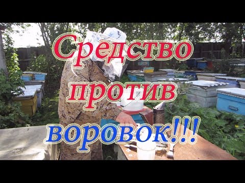 Видео: СУПЕР СРЕДСТВО  ОТ НАПАДА ВОРОВОК.  Beekeeping.🔥🔥🔥