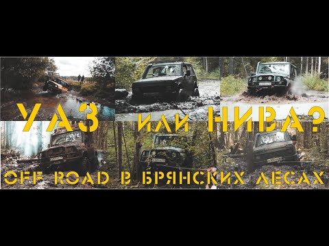 Видео: УАЗ или НИВА? Прогон через старую делянку.