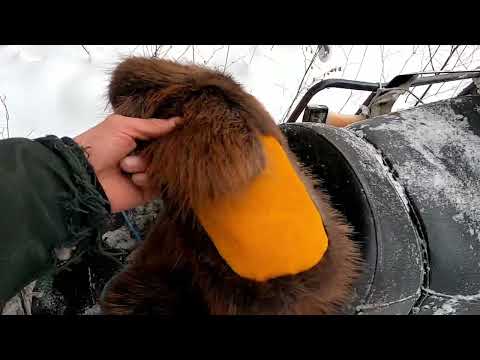 Видео: Ловля хвостов 2024 Часть третья