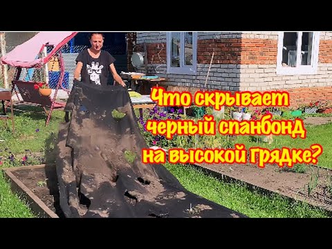 Видео: ЧТО Я УВИДЕЛА УБРАВ ЧЁРНЫЙ СПАНБОНД С ВЫСОКОЙ ГРЯДКИ?/ВРЕДЕН ЛИ ЧЁРНЫЙ СПАНБОНД?/ДАЧНЫЙ СЕЗОН