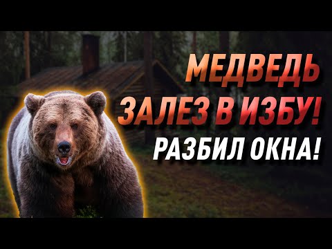 Видео: Миша косолапый по лесу идёт - медведь залез в избу!