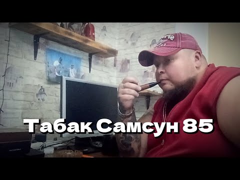 Видео: пробуем табак Самсун 85. урожай 2023 г.