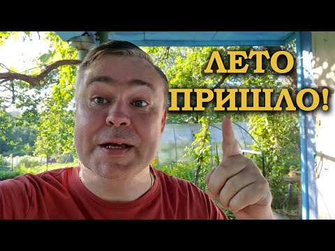 Видео: Запуск мини пруда и обзор дачи. Лето 2025.