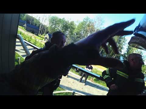 Видео: Глазами начкара #110: 3 пожара: банный комплекс, сарай и помоечка