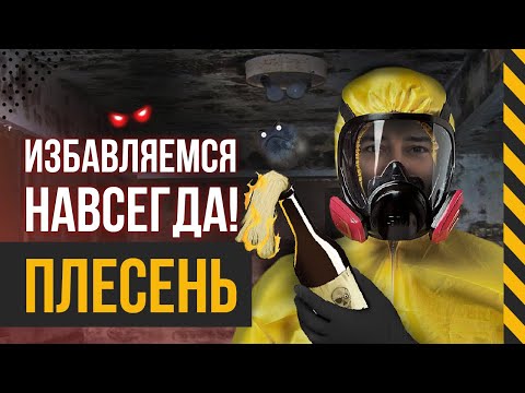 Видео: Что делать, если в доме появилась плесень?
