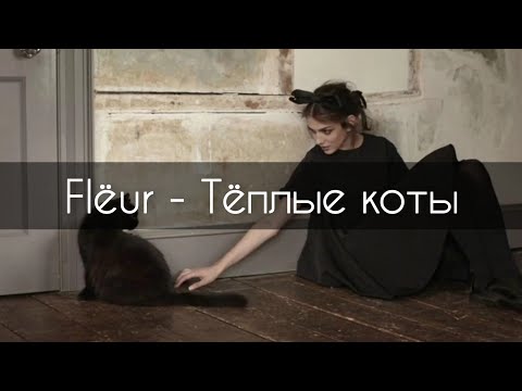 Видео: Flëur - Тёплые коты[текст]