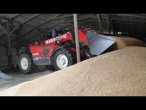 Видео: Manitou грузит пшеницу.