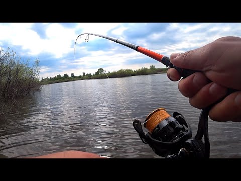 Видео: Блесна АТОМ, как всегда, выручает! Рыбалка на спиннинг с берега!