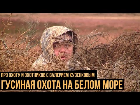 Видео: Гусиная охота на Белом море / Про охоту и охотников с Валерием Кузенковым. Сезон 1