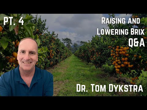 Видео: Доктор Том Дайкстра | Вопросы и ответы по повышению и понижению индекса Брикса, часть 4