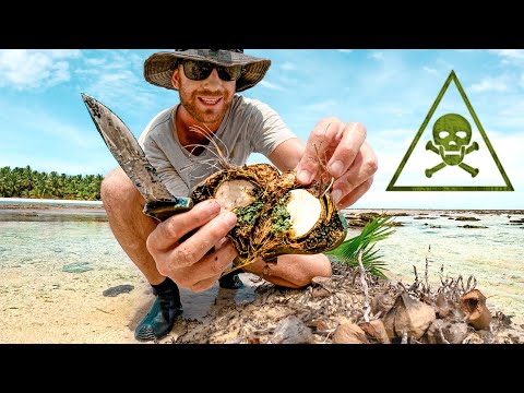 Видео: ИСПЫТАНИЕ НА ВЫЖИВАНИЕ: Использование примитивного яда (НУЖНЫ ЕДА, ВОДА И ОГОНЬ)