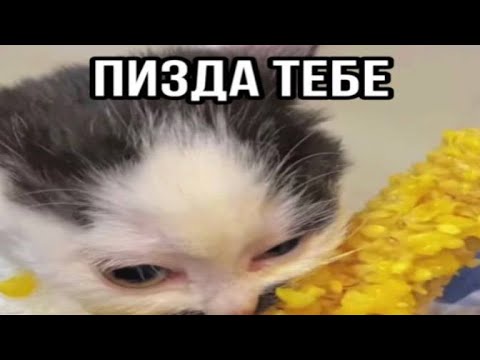 Видео: капец тебе...