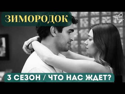 Видео: Зимородок 3 Сезон. Что дальше? Спойлеры