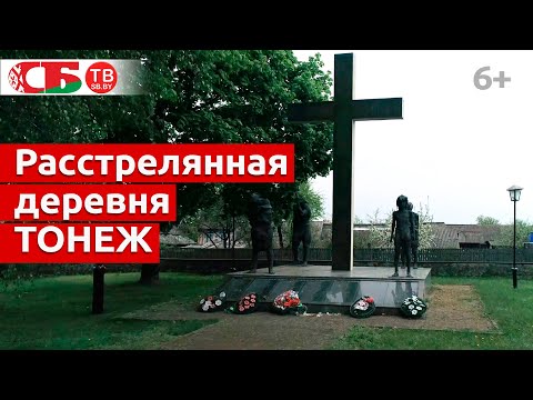 Видео: Расстрелянная деревня Тонеж | Обелиски великого подвига