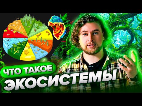 Видео: Что такое экосистема? | Просто о сложном - Сортировочная