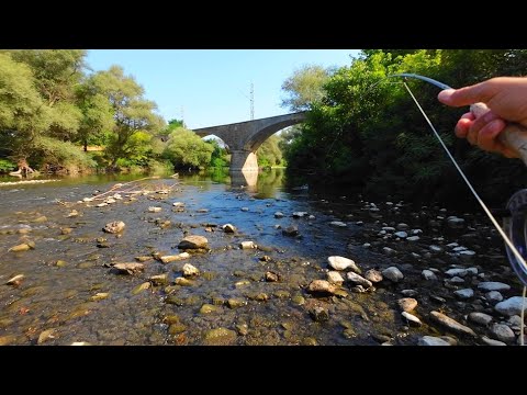 Видео: За кефали по нови места. Риболов на муха на р. Струма