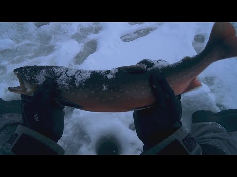 Видео: Зимняя ловля арктического гольца на Кольском полуострове. Техника ловли гольца зимой.