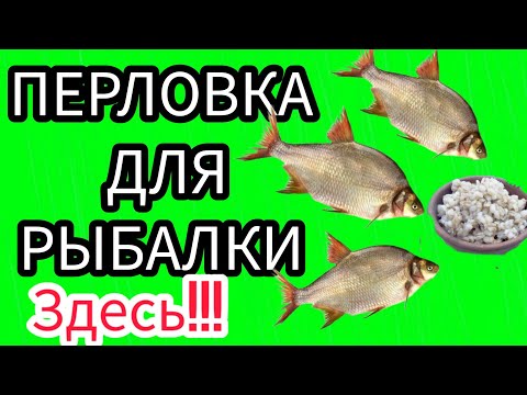 Видео: Перловка для рыбалки, на ЛЕЩА, КАРАСЯ ,ПЛОТВУ. Перловка без термомоса.Вкусный рецепт для рыбалки.