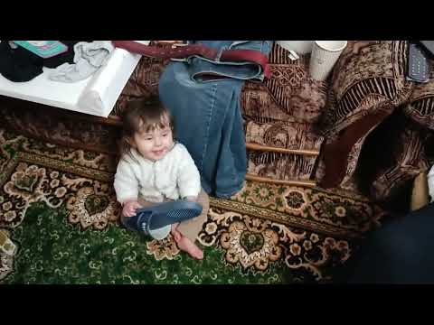 Видео: миксер и ништяки с TEMU