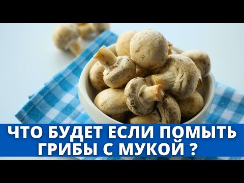 Видео: Что будет если помыть грибы с мукой ?