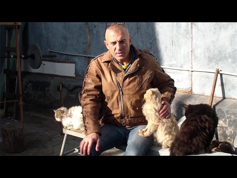 Видео: Как совмещать качалку и единоборства