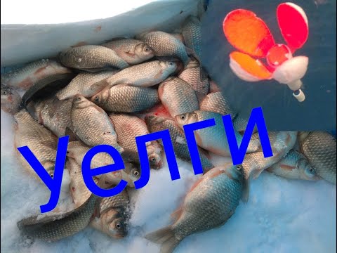 Видео: ловля карася в декабре 2020 со льда озеро Уелги, лучшая снасть на карася, где поймать карася зимой.