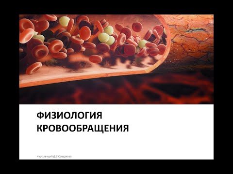 Видео: Лекция 13. Физиология кровообращения