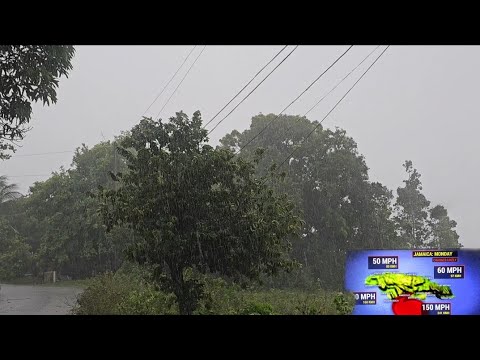Видео: Мелисса становится ближе