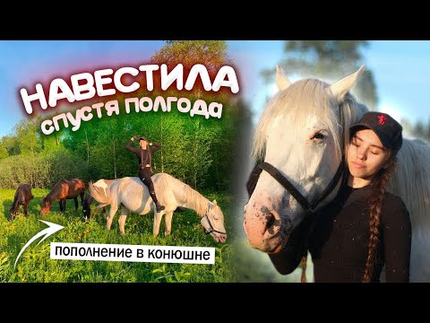 Видео: Пополнение в конюшне 😍 КОННАЯ ПРОГУЛКА Vlog