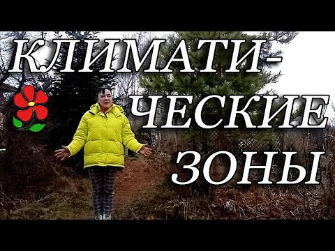 Видео: Климатические зоны (для растений вашего сада)
