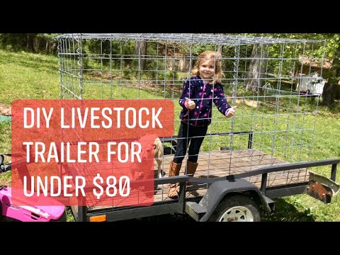 Видео: Самодельный прицеп для перевозки скота менее чем за 80 долларов США с использованием существующег...