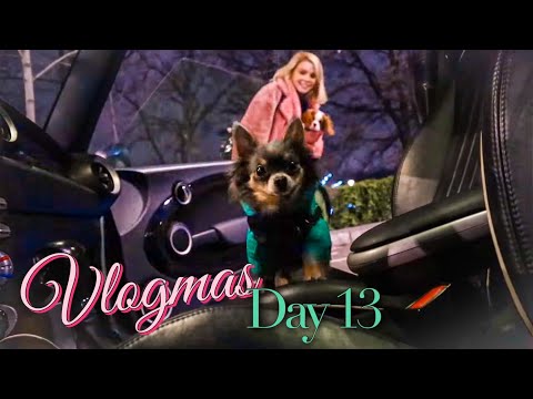 Видео: СРЕДНОЩНИ РАЗХОДКИ С КУЧЕНЦАТА | VLOGMAS DAY 13 /2021