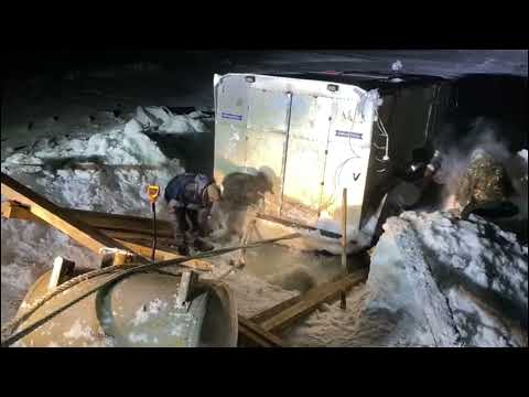 Видео: Спасение Бурлака