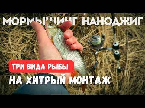 Видео: Как поймать ТРИ ВИДА РЫБЫ на ХИТРУЮ СНАСТЬ. Мормышинг и наноджиг.