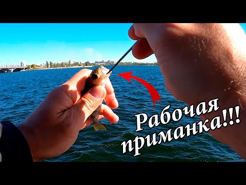 Видео: УЛОВИСТАЯ ПРИМАНКА ДЛЯ ЛОВЛИ ОКУНЯ! Ловим окуня на отводной поводок.