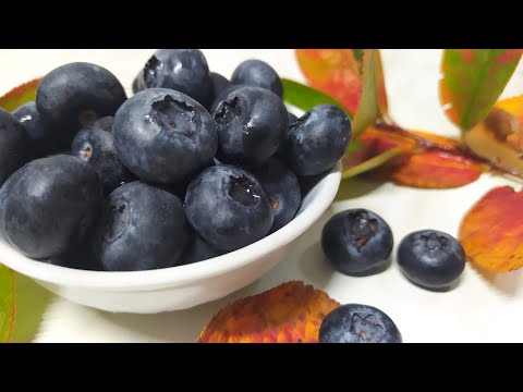 Видео: Сделаем домашний уксус из голубики