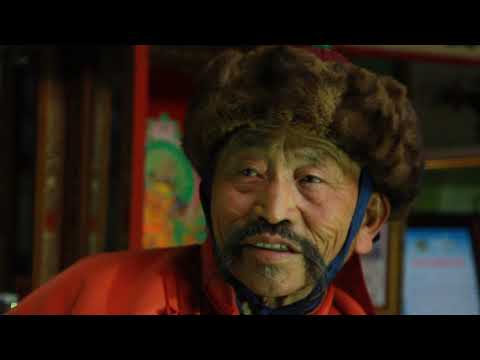 Видео: Боржигон Өвгөн шувуу 2  Borjigon Owgon shuvuu 2