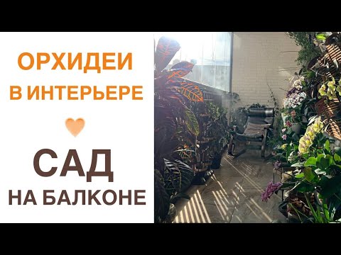 Видео: Коллекция Ольги Самоненко😍 Сад на балконе☺️