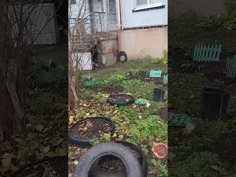 Видео: КРИК. ДУШИ 😭😭😭