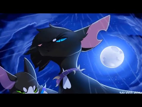 Видео: Сори, мам, я хулиган // Scourge (Коты Воители/Бич)