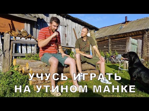 Видео: МАНОК на УТКУ ПОШАГОВАЯ ИНСТРУКЦИЯ КАК МАНИТЬ УТКУ МАНКОМ. ЗВУК МАНКА КРЯКАЮЩАЯ УТКА охота. ENG SUB