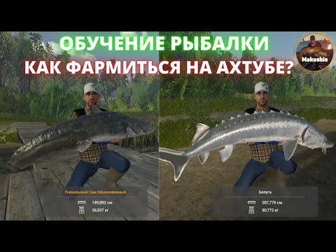 Видео: Fishing Planet | КЛЁВОЕ МЕСТО НА р. АХТУБЕ | Гайд по ловле уникального сома, белуги, щуки и судака!