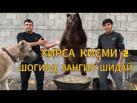 Видео: ХИРСА 2 ЮМ КИСМУШ ШОГИРД ЗАНГИР ШИДАЙ 😂