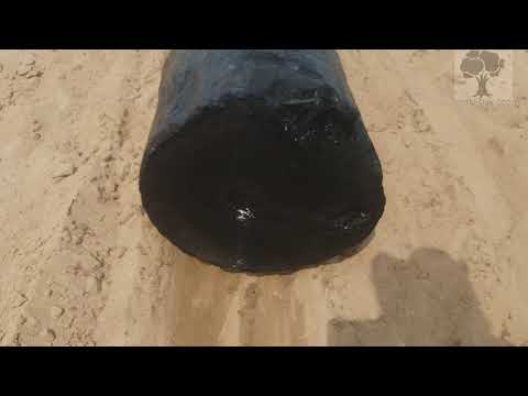 Видео: Подъем и извлечение из реки мореного дуба 2021 08 добыча